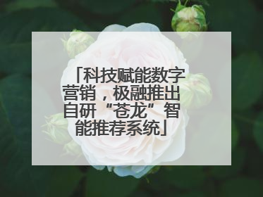 科技赋能数字营销，极融推出自研“苍龙”智能推荐系统
